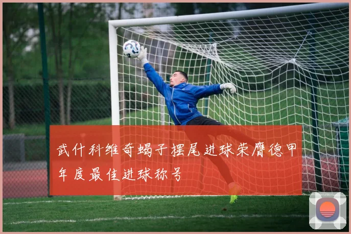 武什科维奇蝎子摆尾进球荣膺德甲年度最佳进球称号