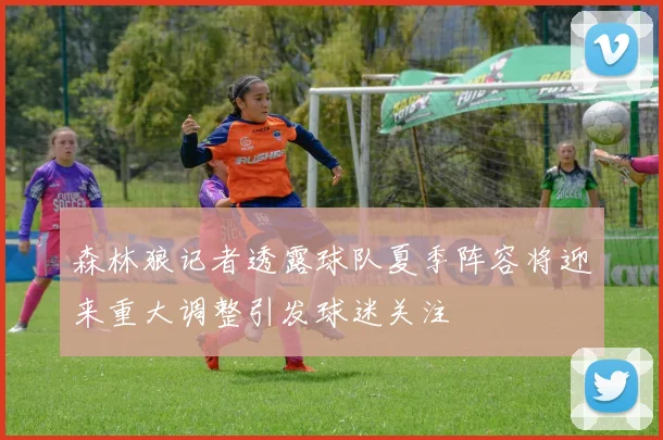 森林狼记者透露球队夏季阵容将迎来重大调整引发球迷关注
